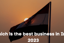 Which is the best business in India 2023