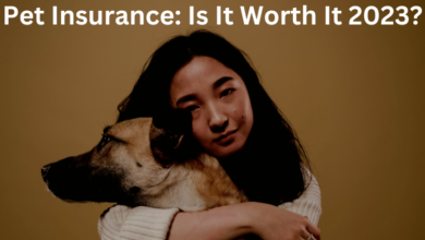 Pet Insurance: Is It Worth It 2023?